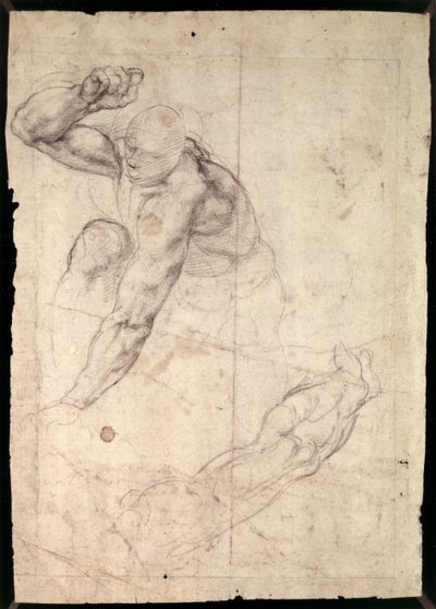 Étude de figure masculine - Michelangelo Buonarroti